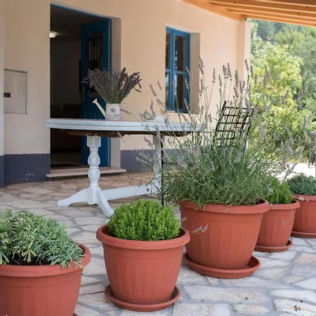 Studio Apartman Roza Ston Exterior photo