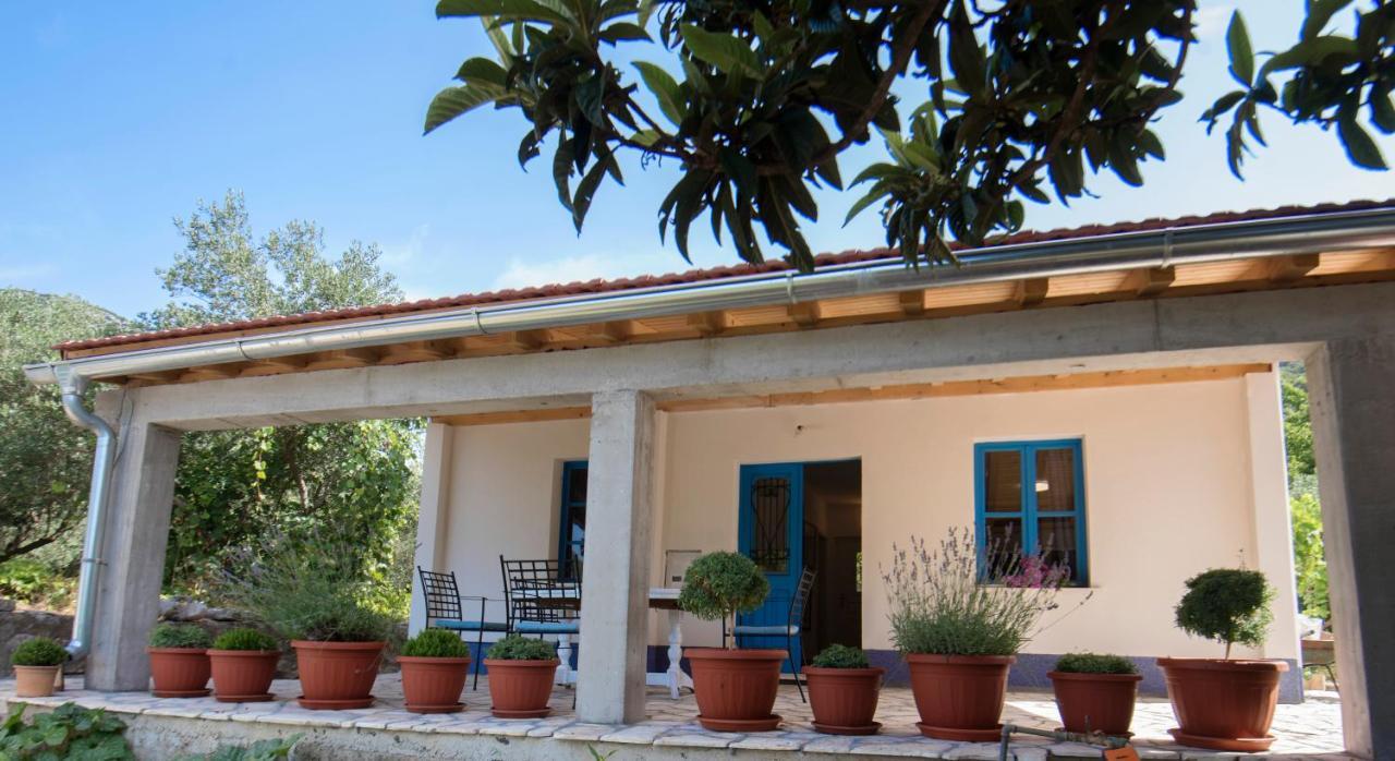 Apartment Roza