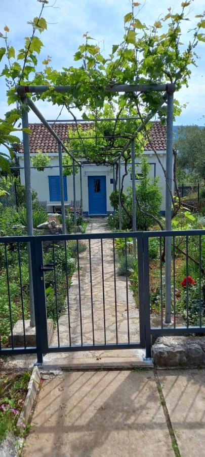 Roza Apartament